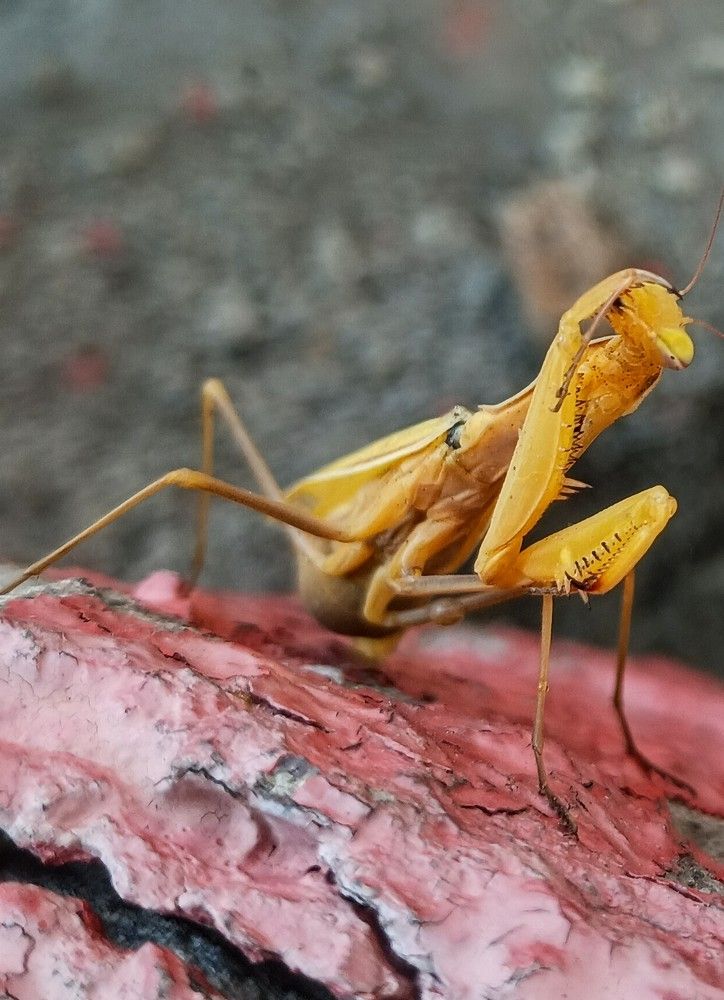 Photograph by Светлана Терехова