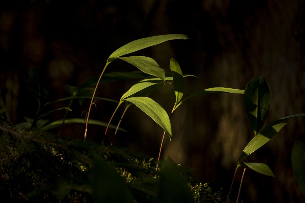 Photograph by Юлия Куликова