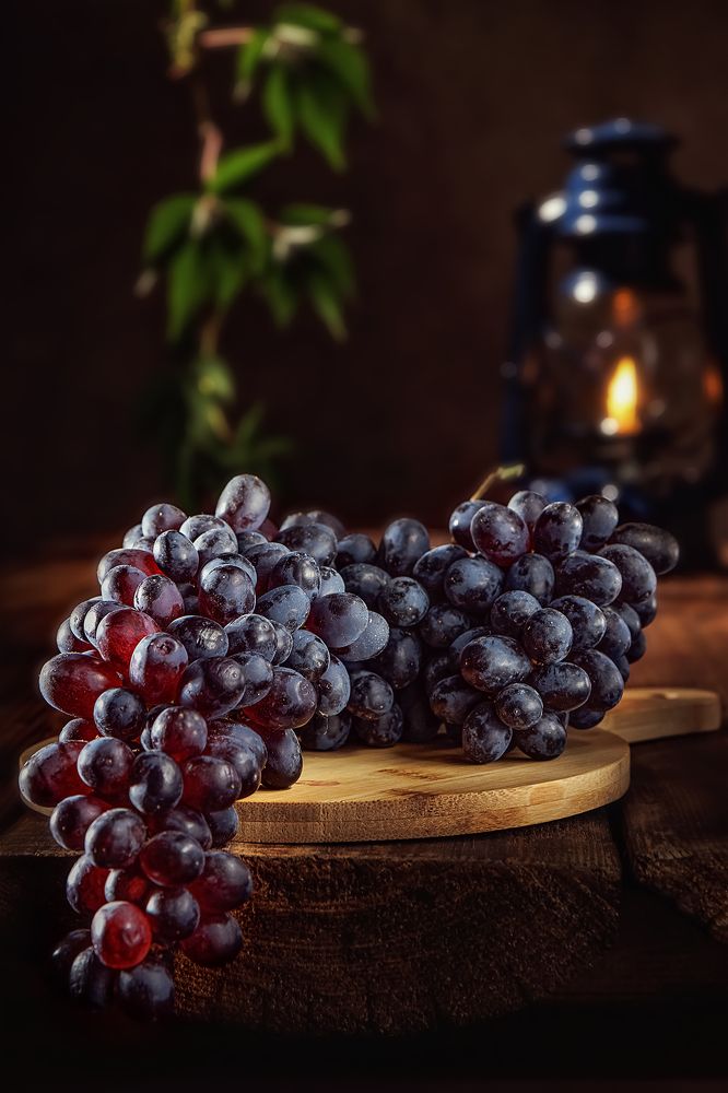 Photograph by Морозов Сергей