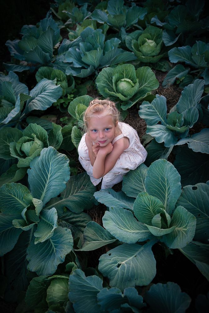 Photograph by Мария Купревич