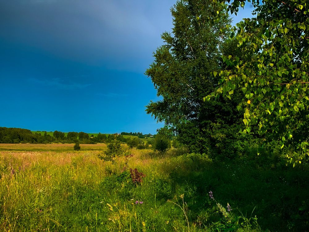 Photograph by Юлия Чиклеева