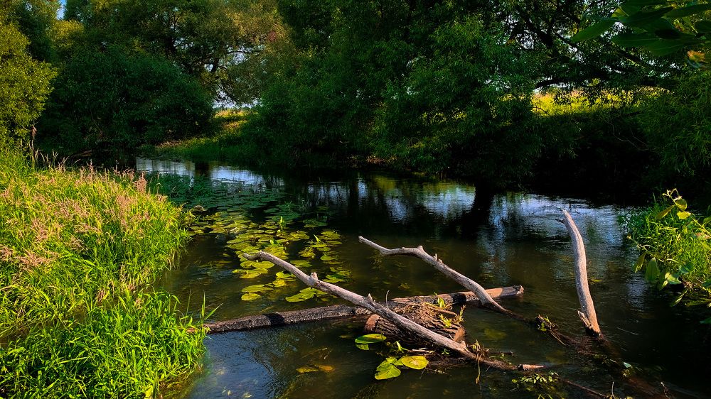 Photograph by Юлия Чиклеева
