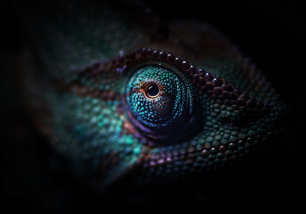 Photograph by Лапшина Владлена