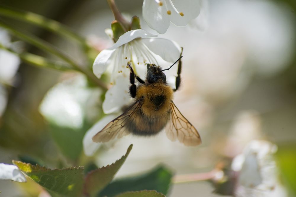 Photograph by Ольга Белова