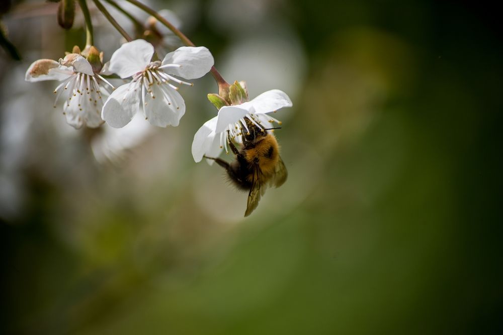 Photograph by Ольга Белова