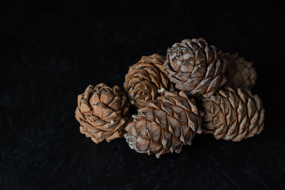 Photograph by Кадырова Анастасия