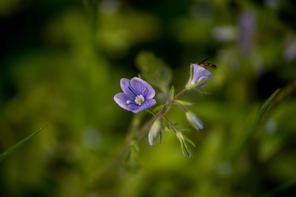 Photograph by Ольга Белова