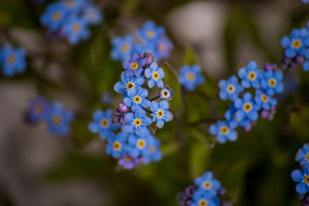 Photograph by Ольга Белова