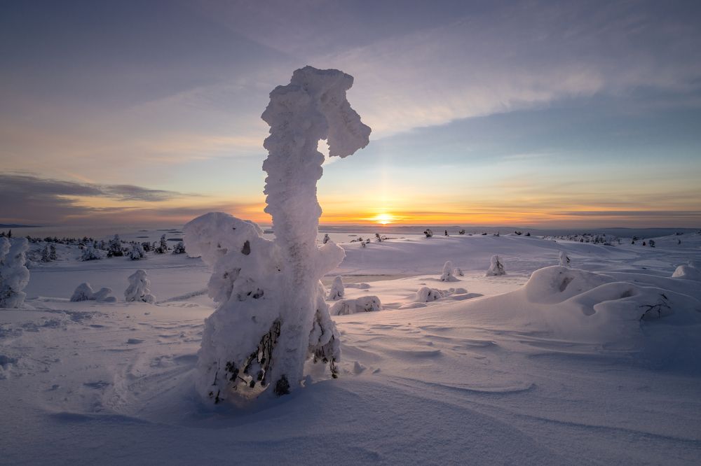 Dragon's winter dreams