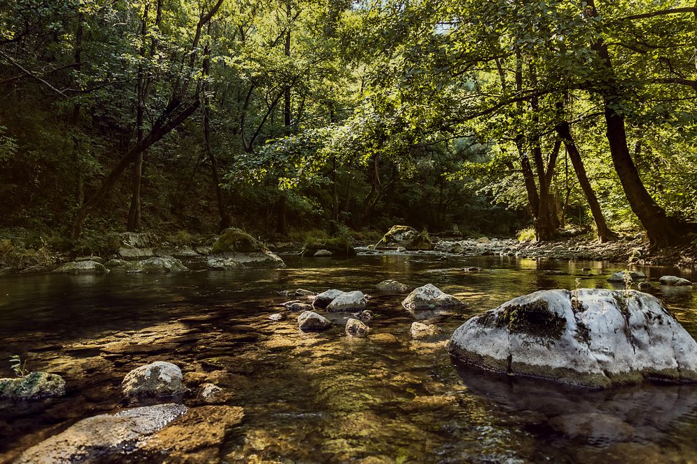 Photograph by Bojan Dzodan