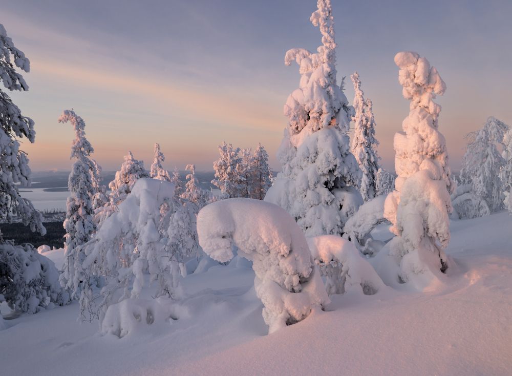 Photograph by Diana Karp