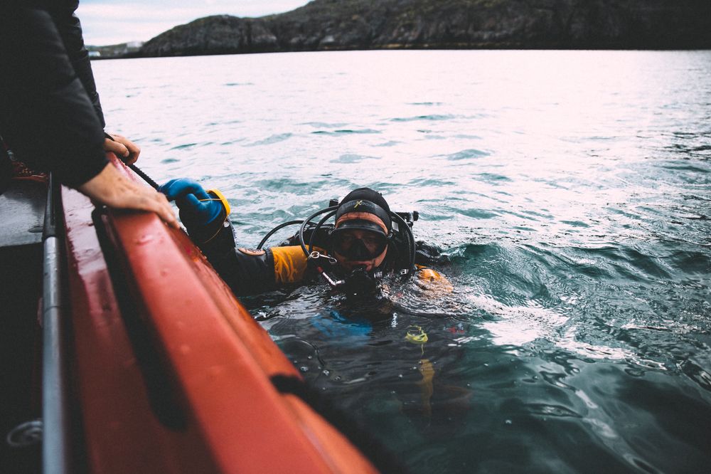 Photograph by Артём Вольнов