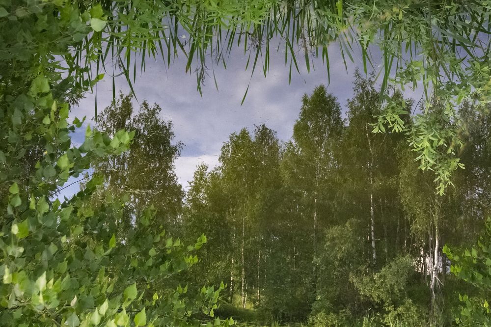 Photograph by Svetlana Karnauh Карнаух