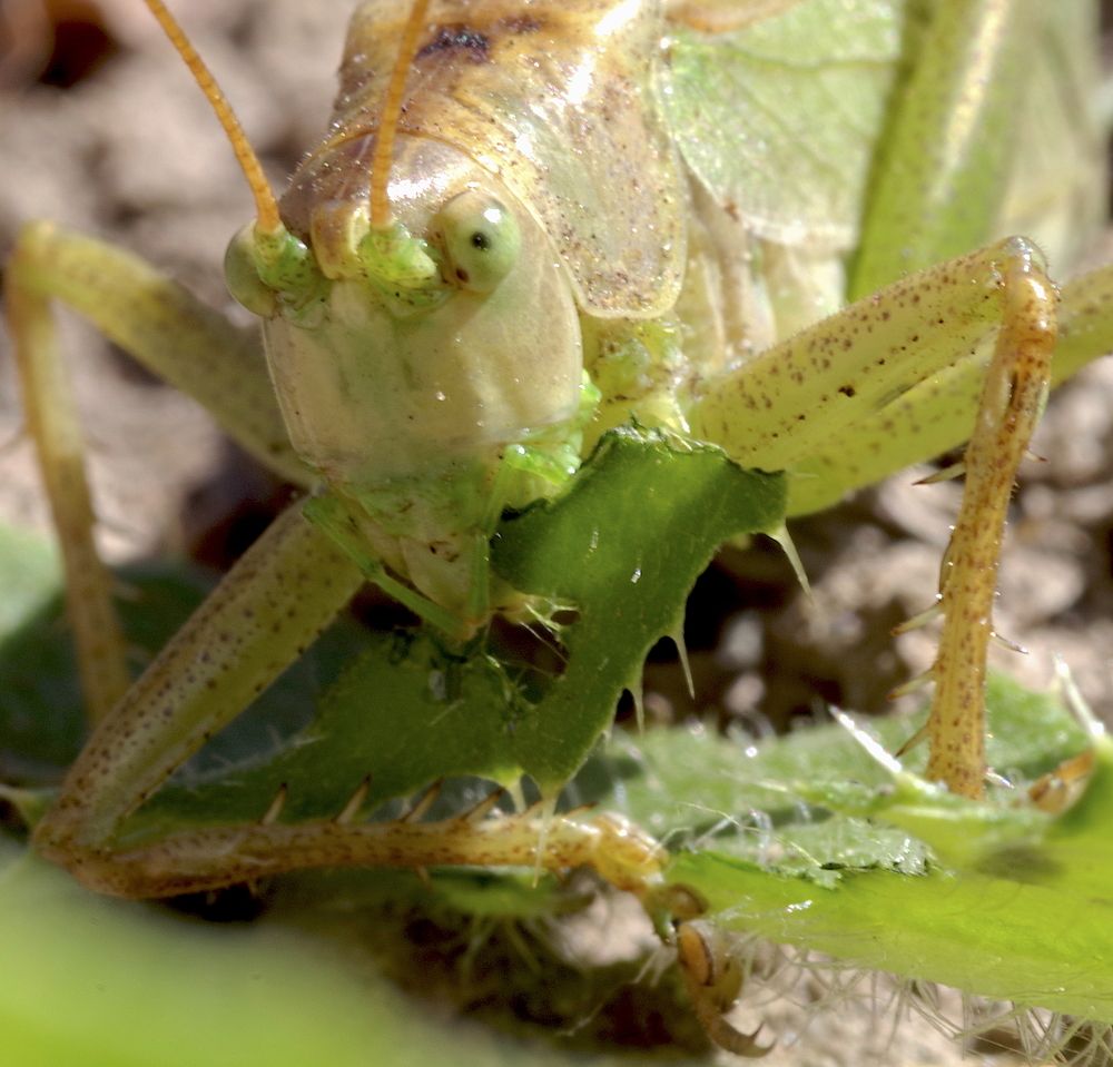 Photograph by Олег Китаев