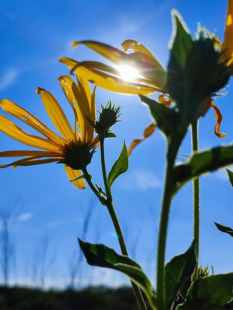 Photograph by Katsiaryna Sazonava