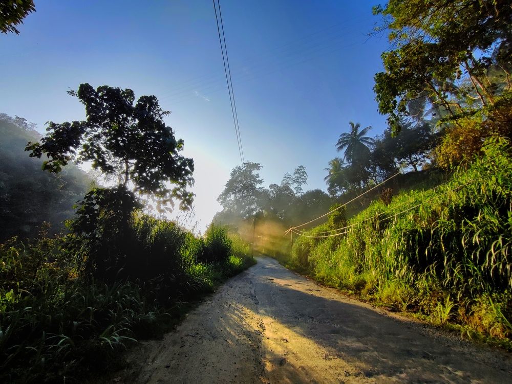 Photograph by Buddhika Dinuranga