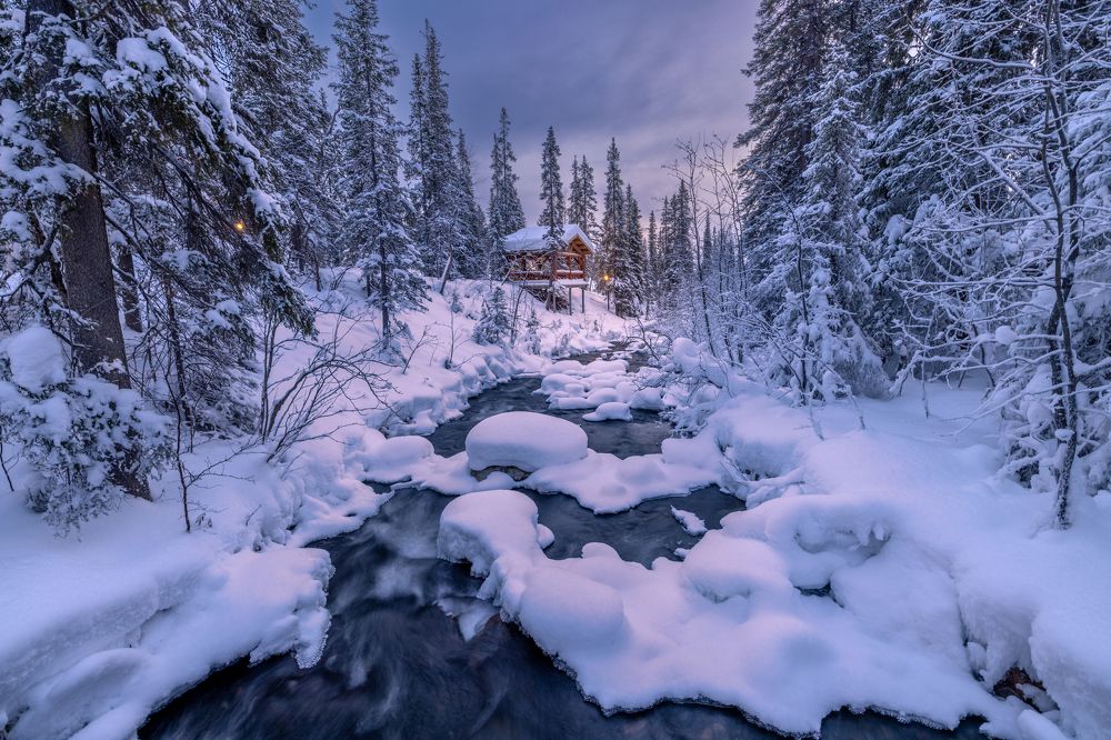 В гостях у зимних эльфов
