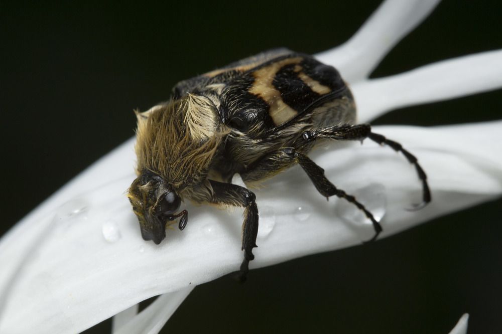 Фотография автора Марина Кулакова