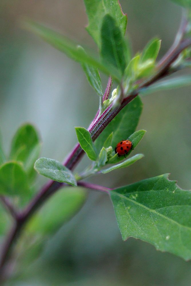Photograph by Юрий Варюхин