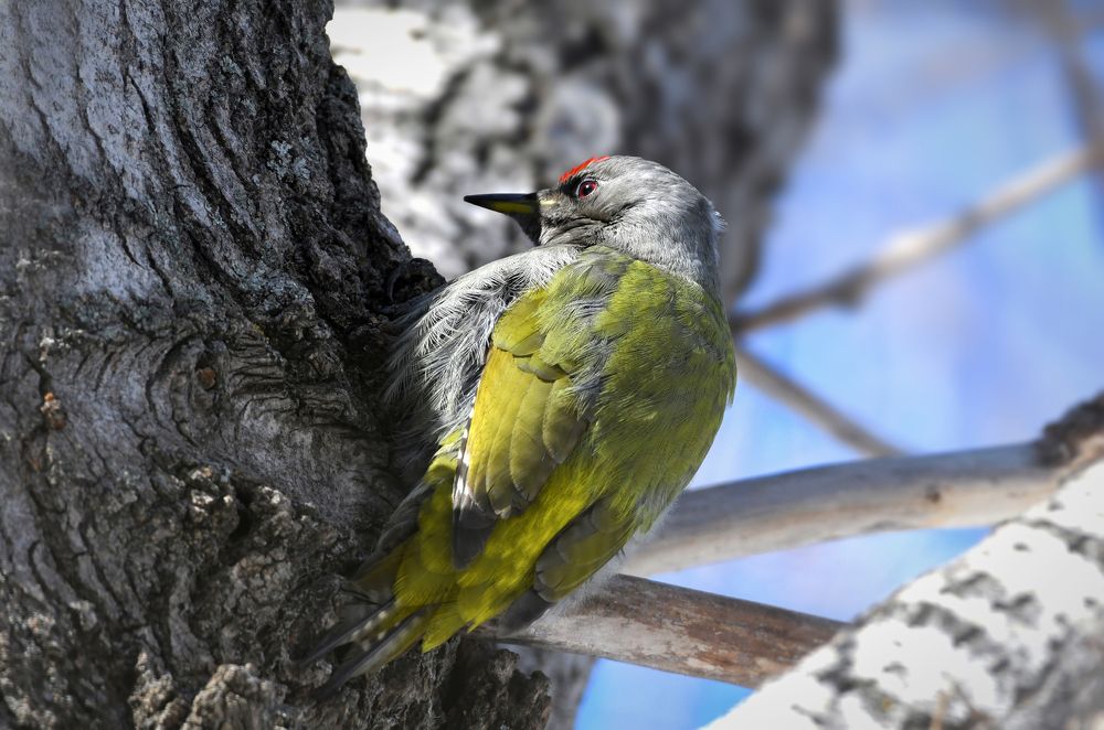 Photograph by Александр Перегудов