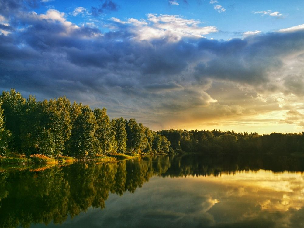 Photograph by Настя Хомастя