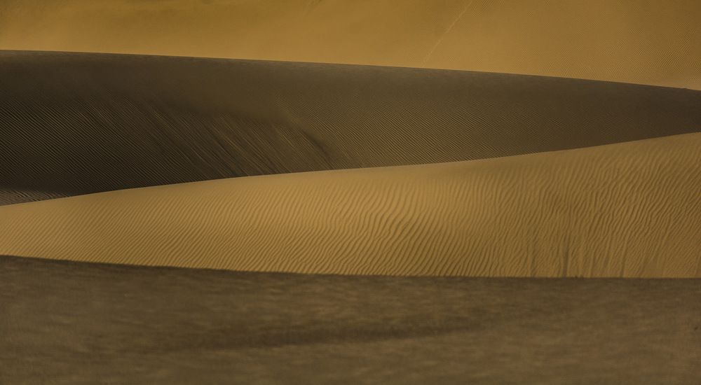 Photograph by Pegah Jafari