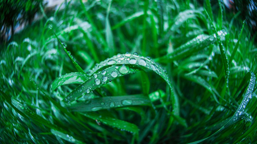 Photograph by Стас Неклюдов