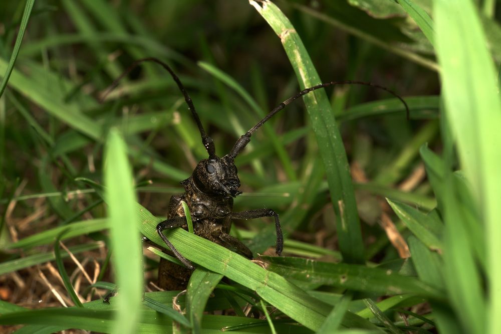 Photograph by Денис Шарунов