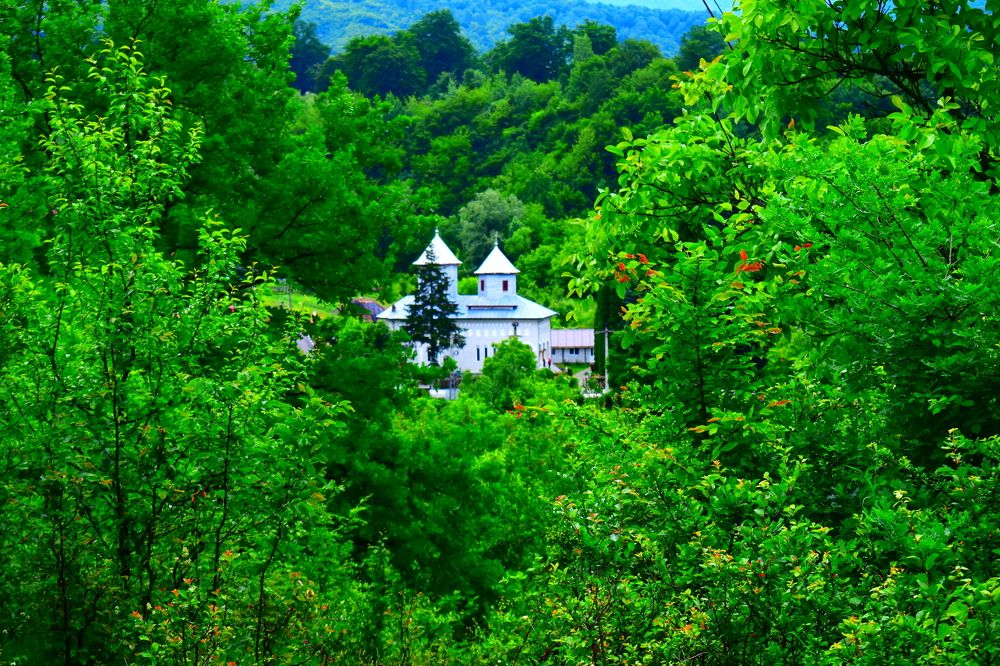 Photograph by Raduca Cosmin