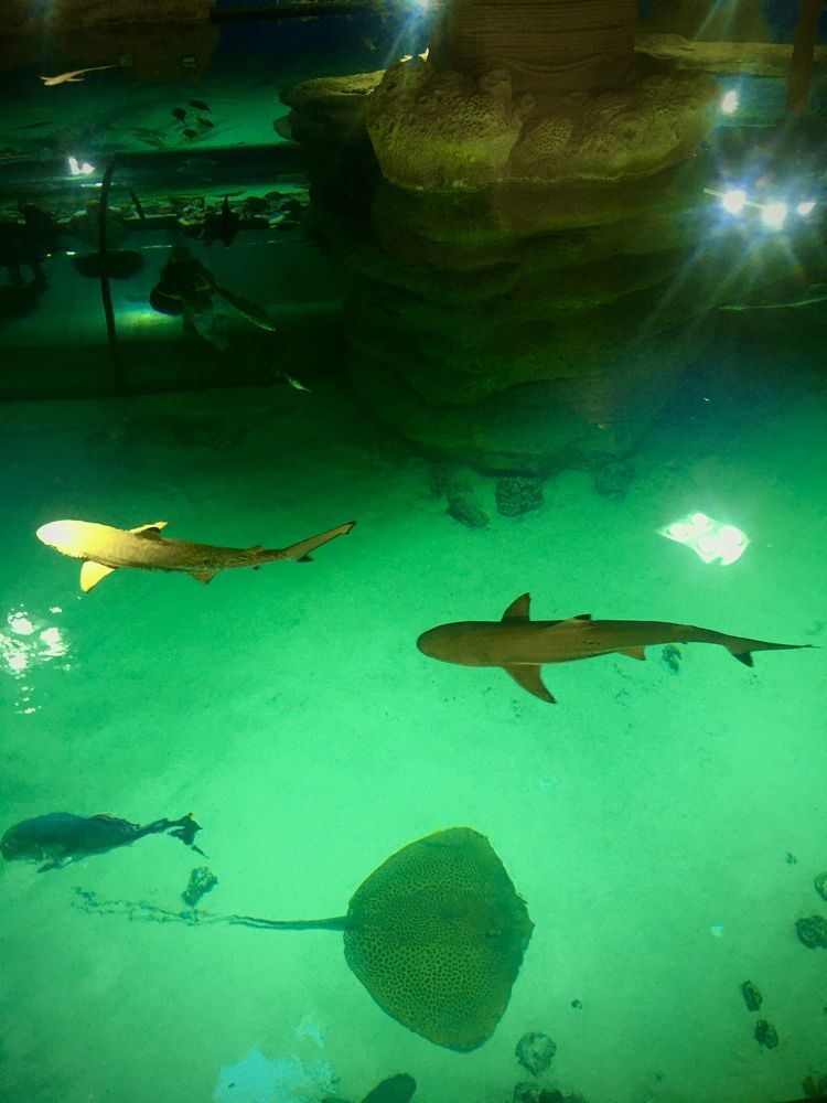 Photograph by Olga Afanaseva