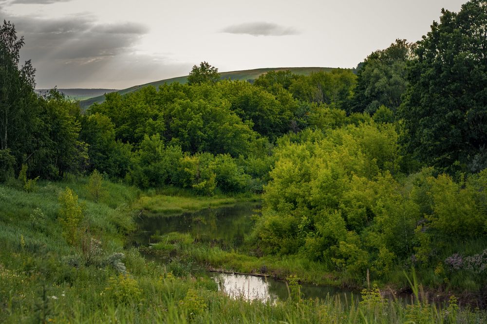 Photograph by Ольга Остапенко