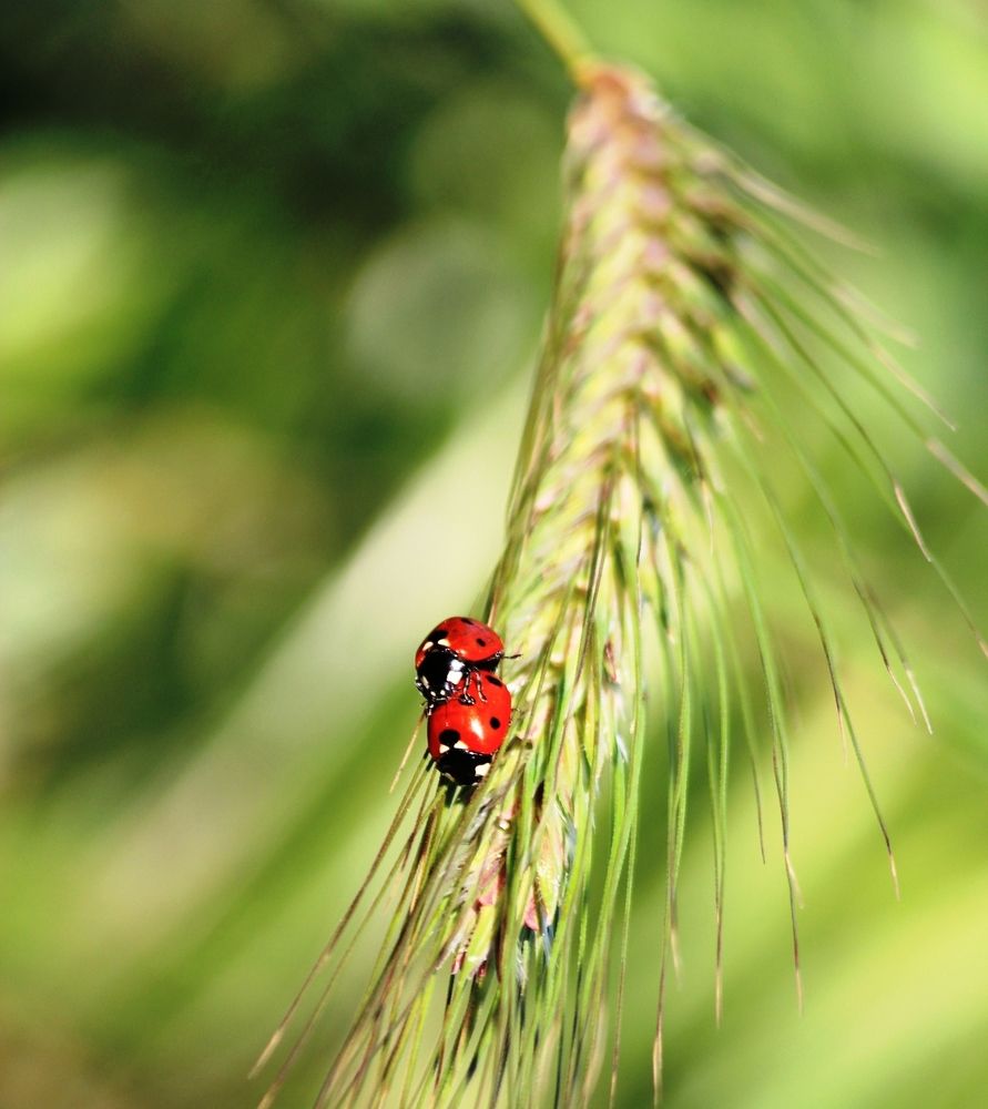 Photograph by Nadzeya