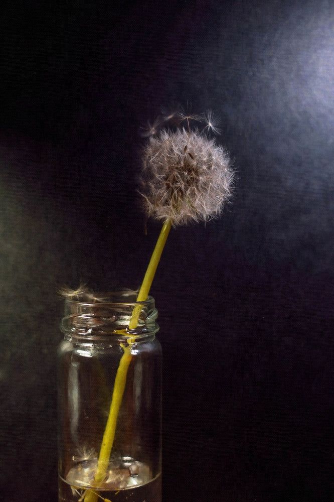 Photograph by Александр Ниткин