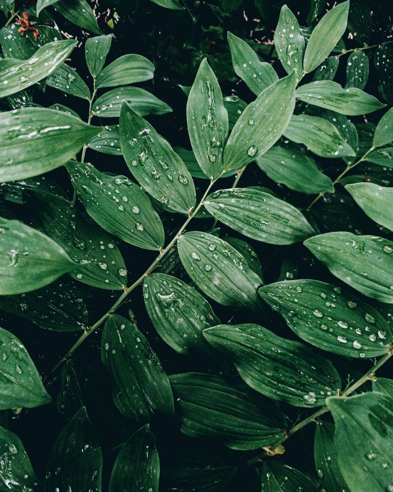 Photograph by Рафаэль Грузнов