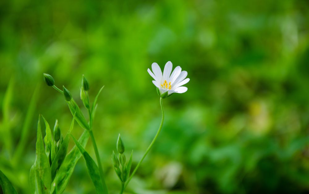 Photograph by Екатерина Якушева