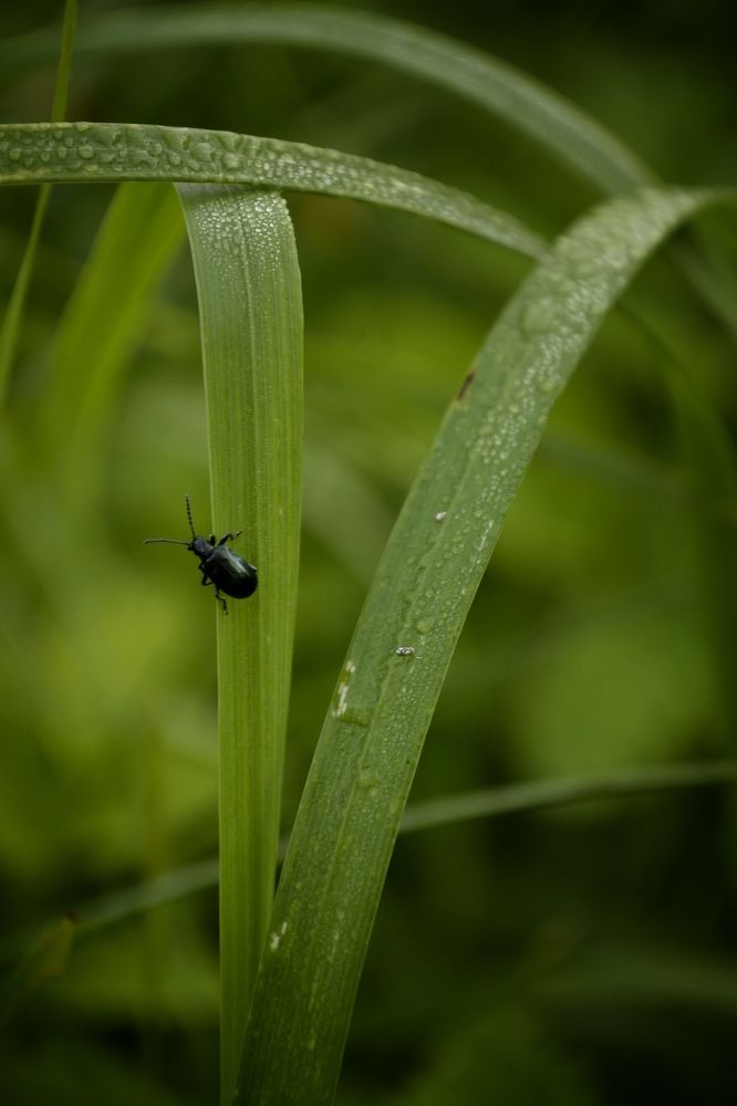 Photograph by Карина Слабкая