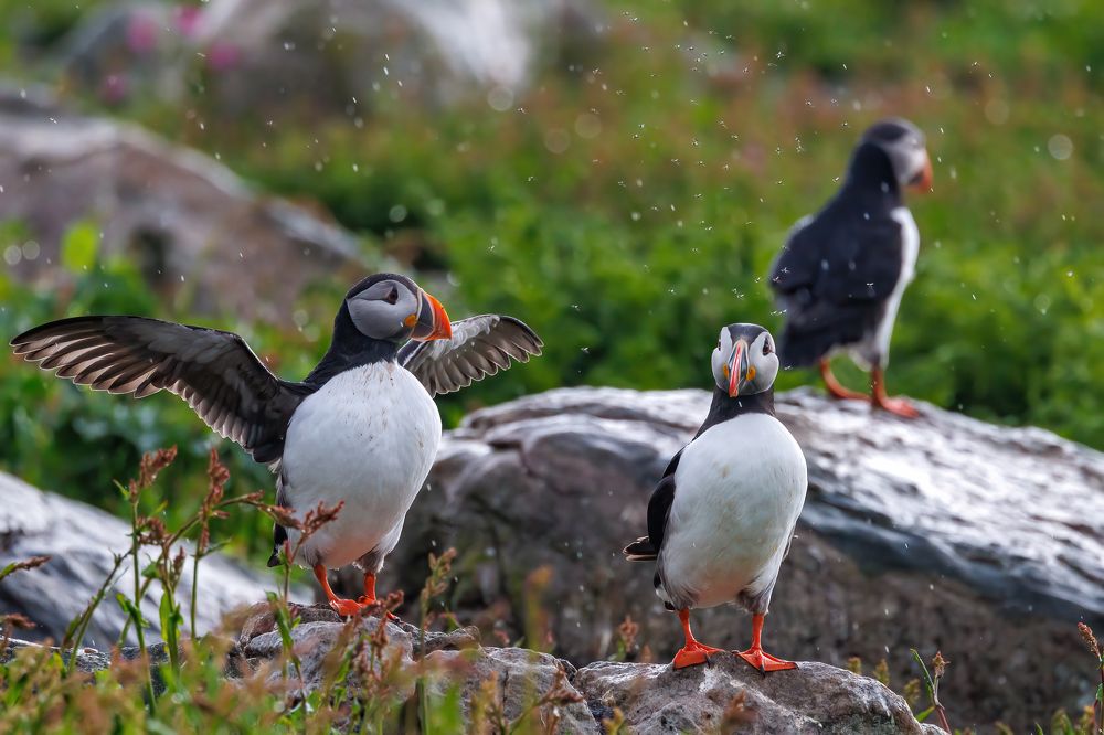 Photograph by Валентин Колинько