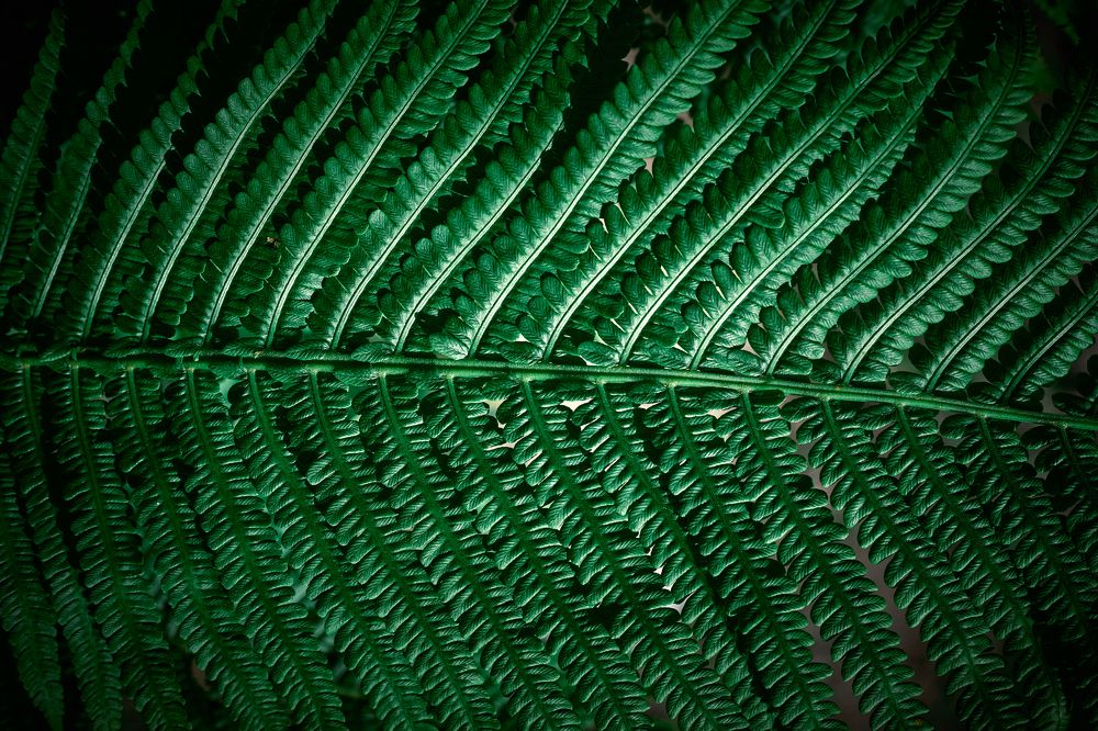 Photograph by Сергей Кочетов