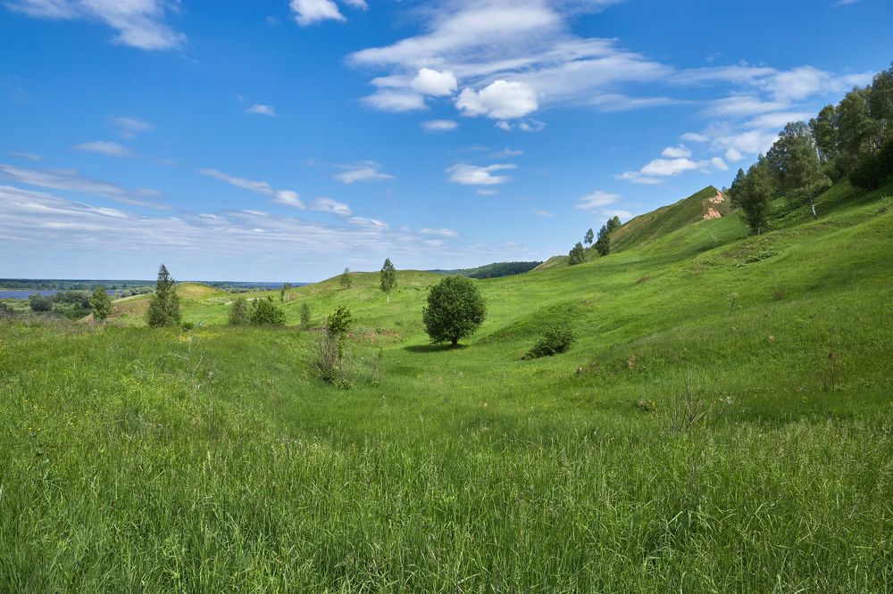 Photograph by Сергей Кочетов