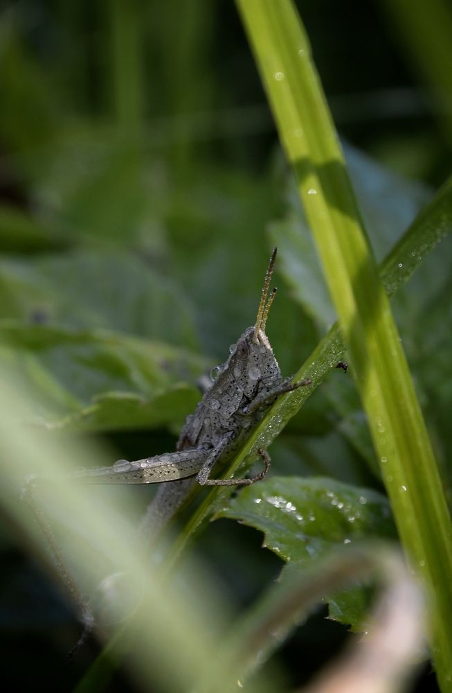 Photograph by Карина Слабкая