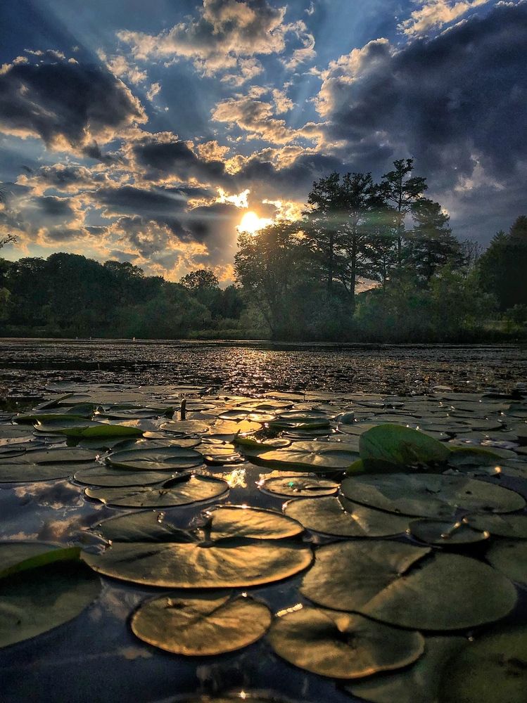 Between the clouds and trees