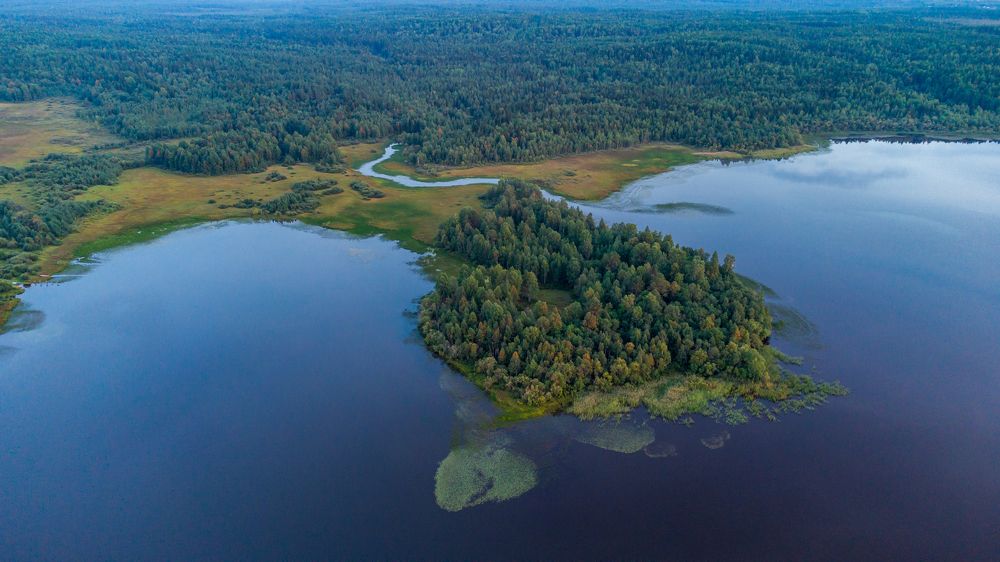 Photograph by Алексей Кабанихин