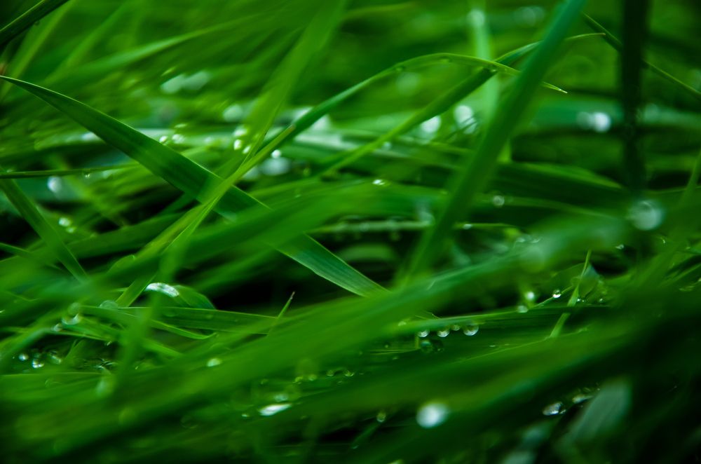 Photograph by Екатерина Якушева