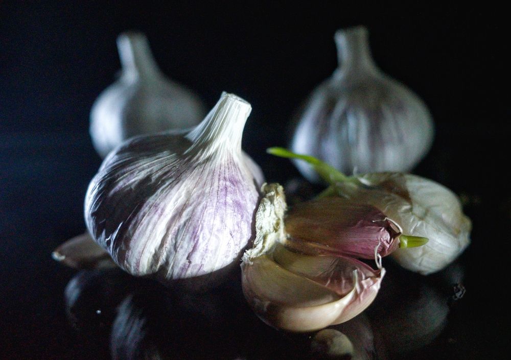 Photograph by Ирина Шилина