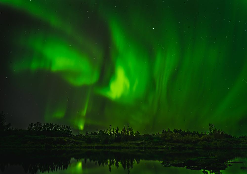 Photograph by Piotr Mickevic