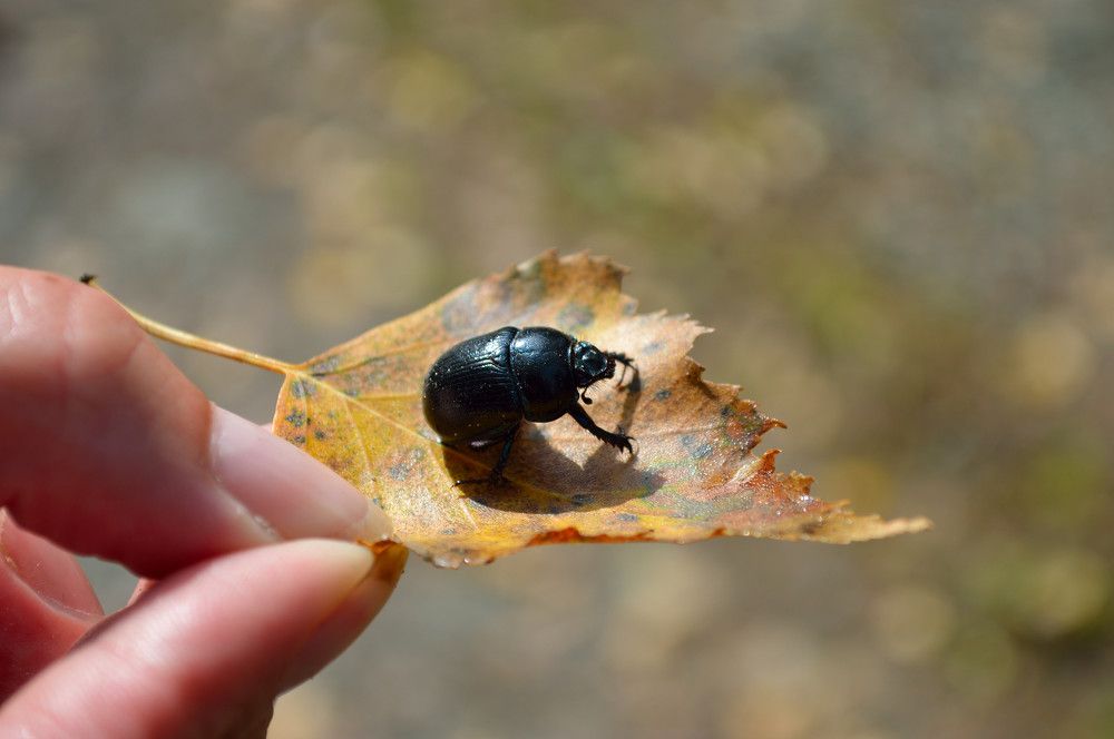 Photograph by Алексей Митрофанов
