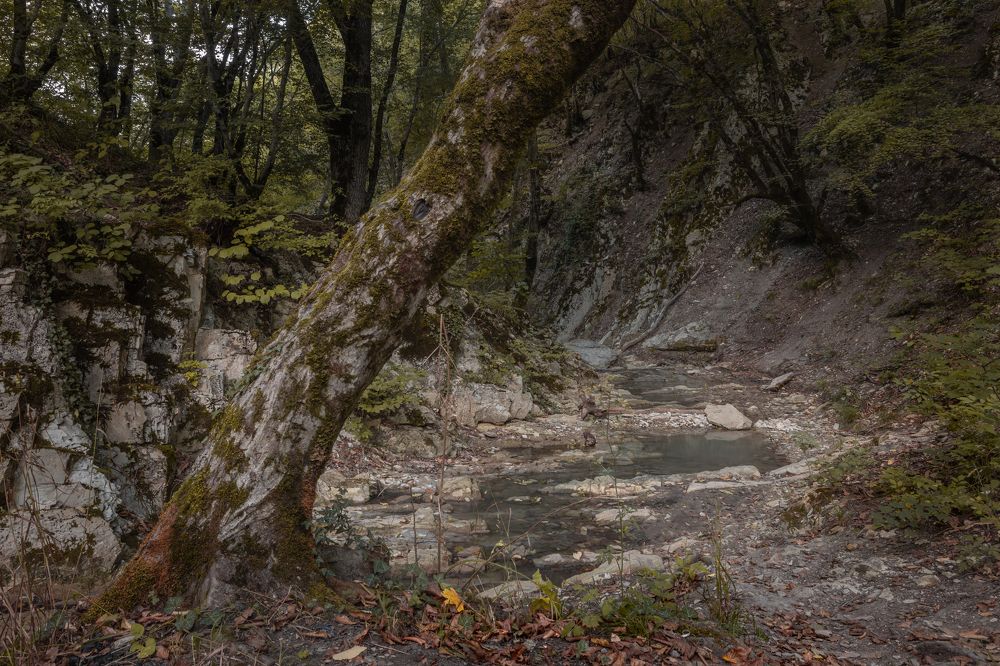 Photograph by Diana Karp