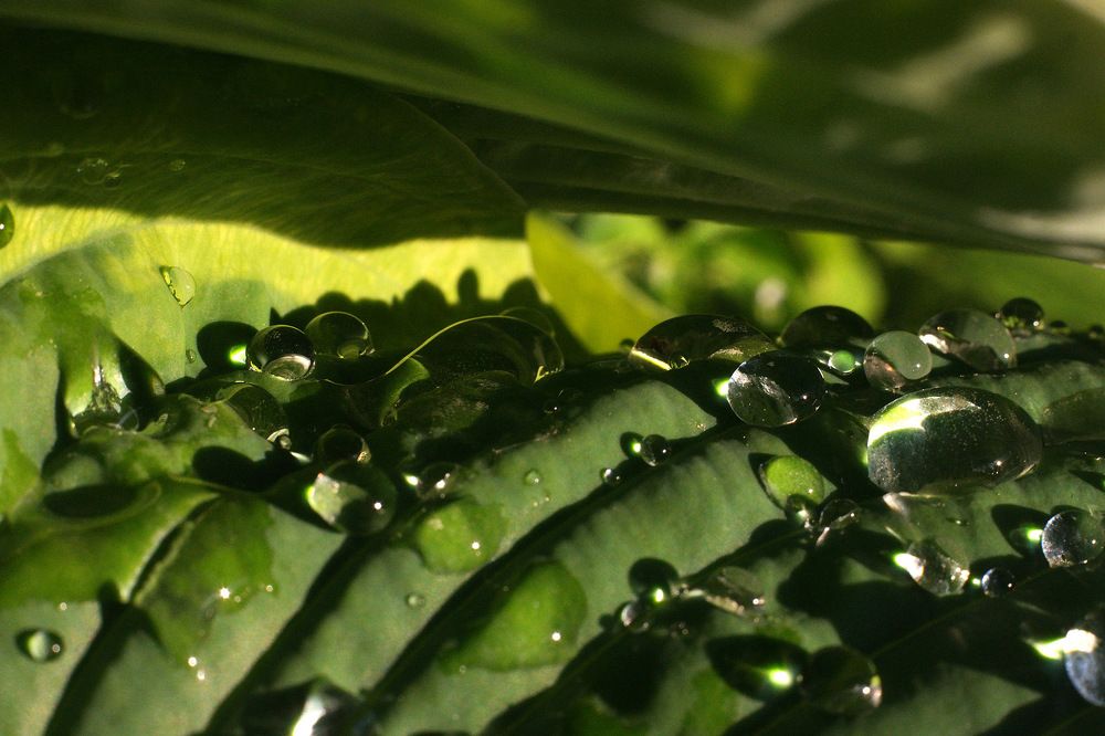 Photograph by Дмитрий Ткаченко