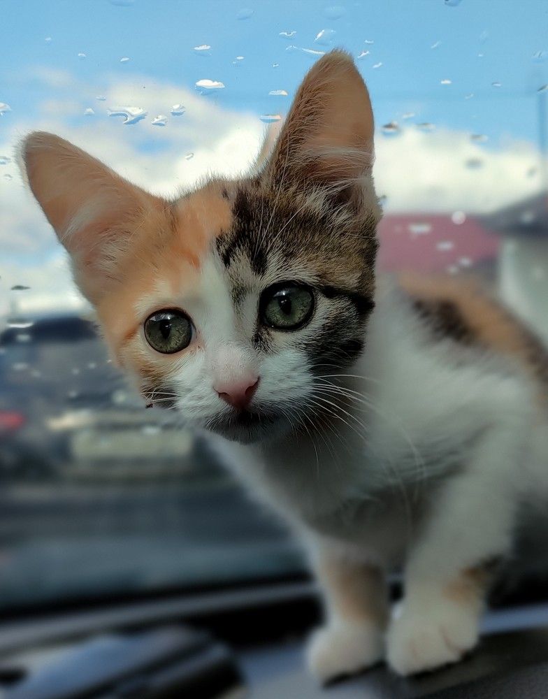 Photograph by 13 anchousov