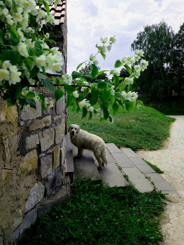 Photograph by 13 anchousov